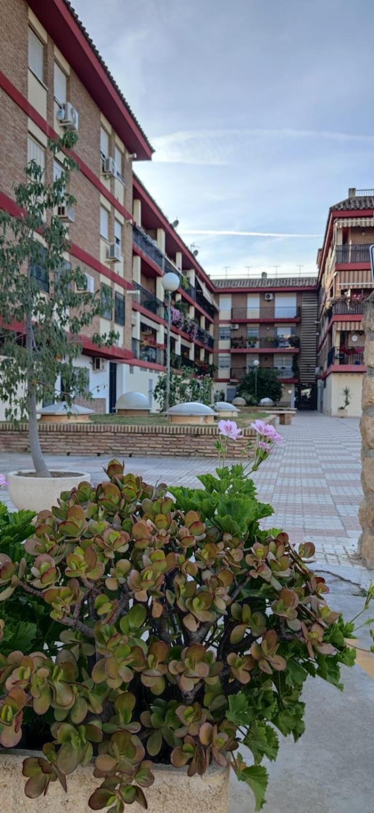 Loft A La Verita River, Parking Free Córdoba Exterior foto